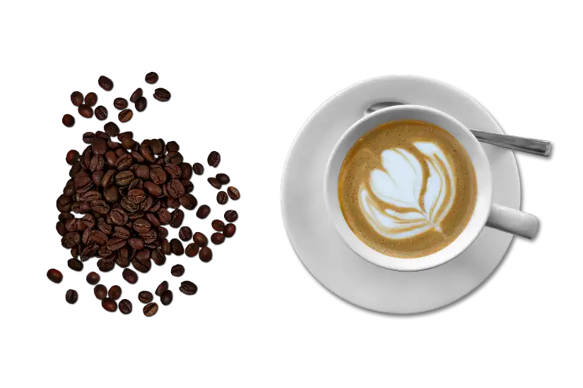 amilo specialiste eau cafe