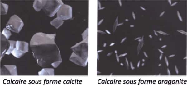 Différence entre calcite et aragonite