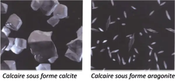 calcite vs aragonite