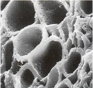 charbon actif microscope 1