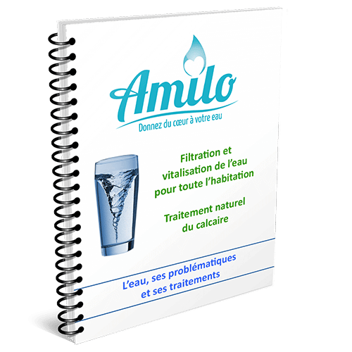 Téléchargez l'ebook Amilo