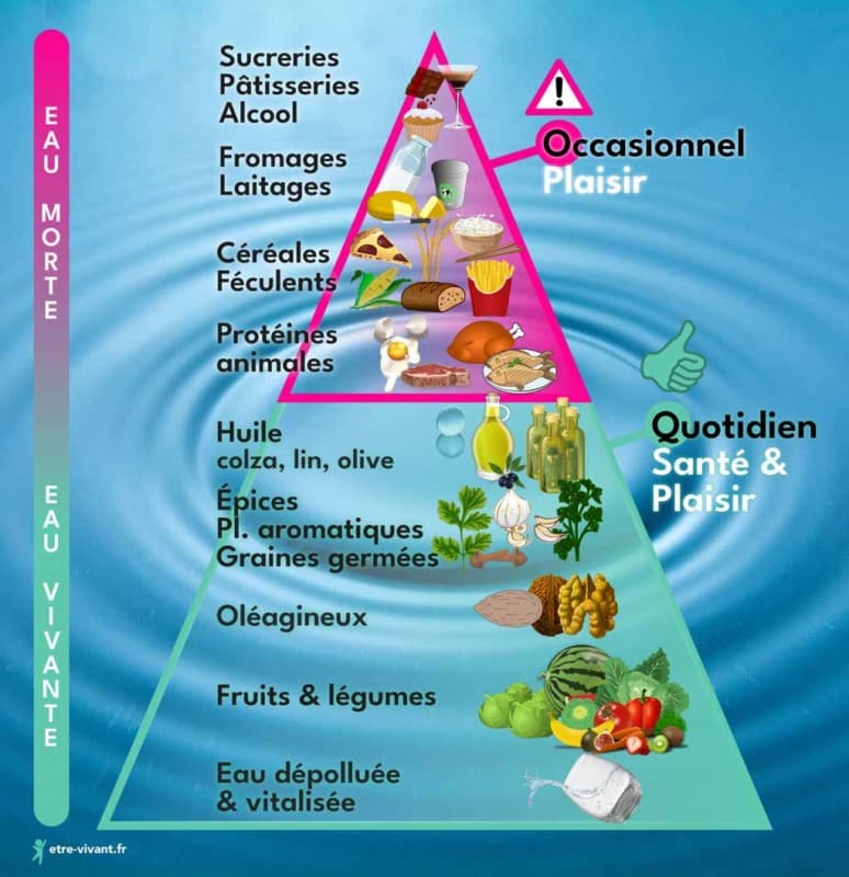 L'eau vivante dans la pyramide alimentaire. Limiter les produits transformés pour favoriser les produits naturels crus.