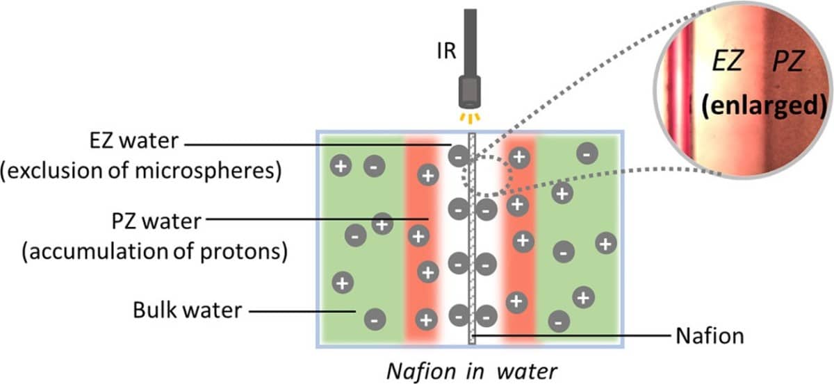 Membrane hydrophile, gel alcalin de l'eau