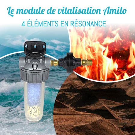 Le module de vitalisation Amilo