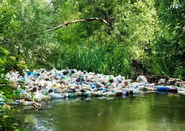 Le problème du plastique dans les rivières