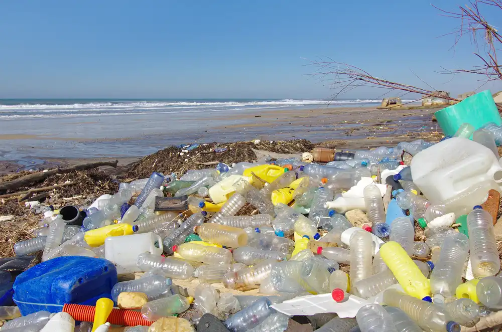 Le filtre à eau Amilo pour stopper la pollution par les bouteilles plastique