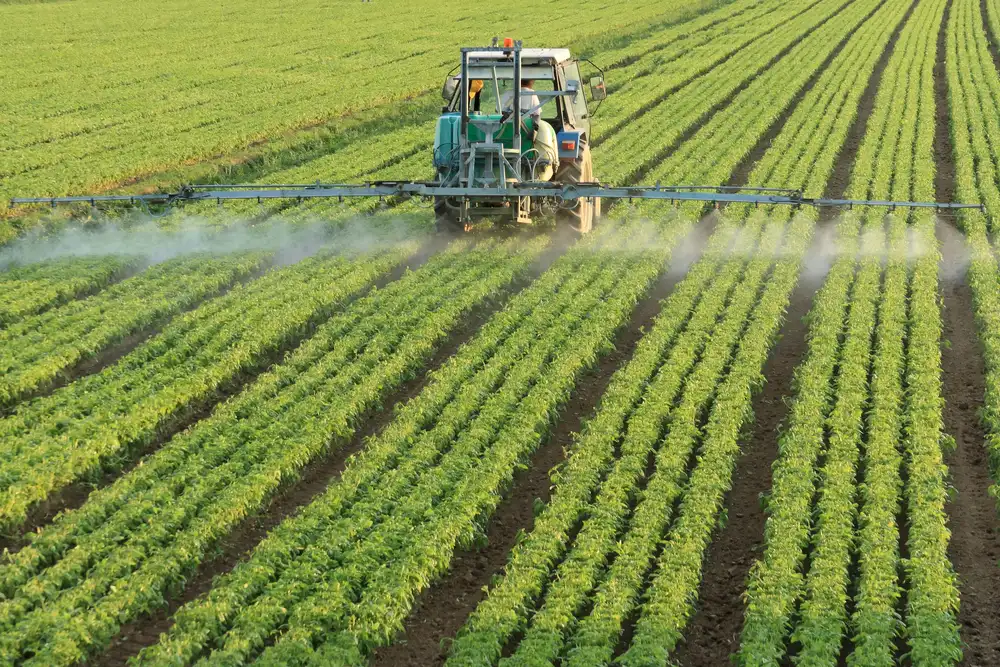 Pollution de l'eau par les pesticides